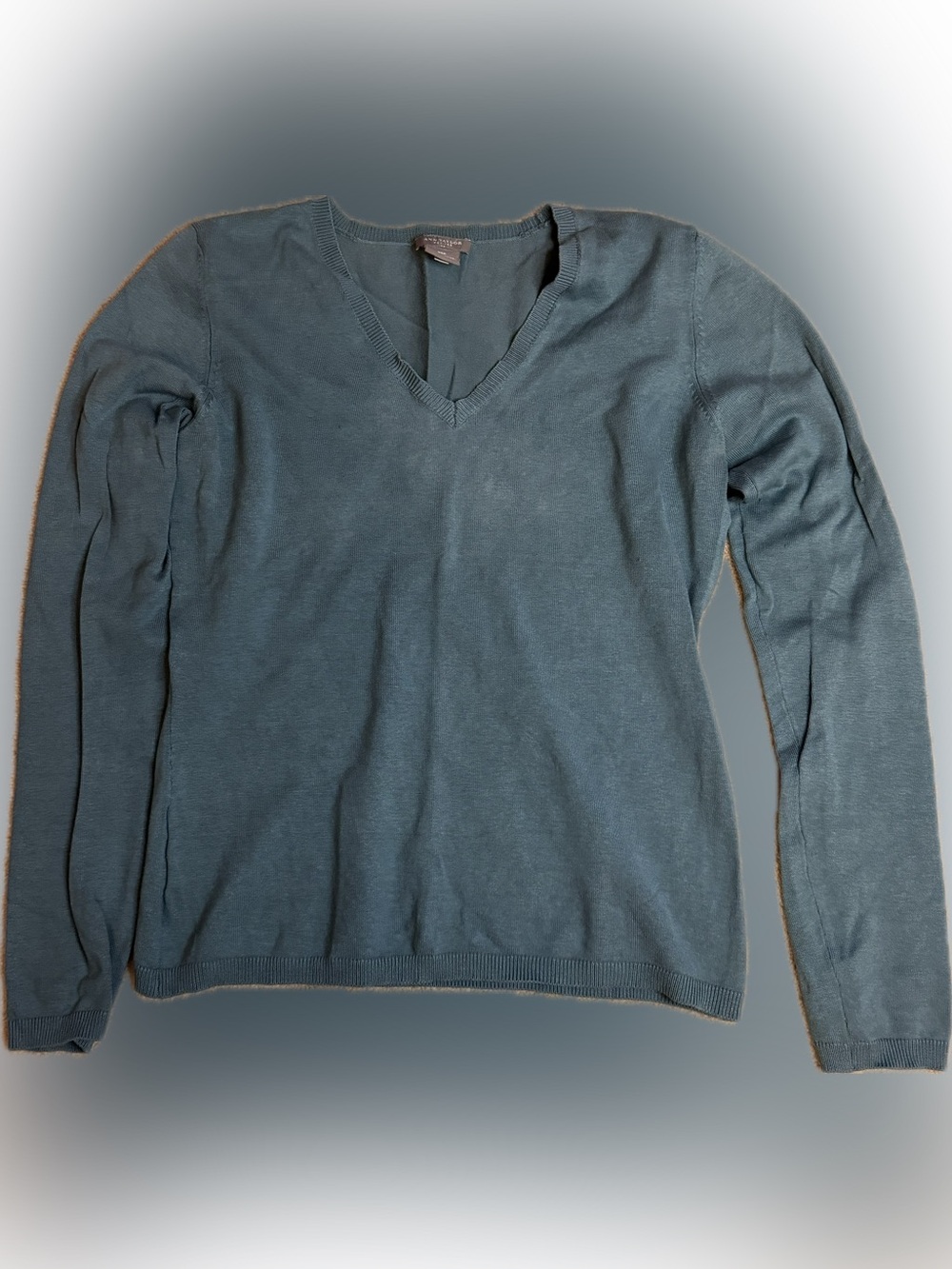 Ann Taylor Petite V-Neck Sweater in Slate Blue